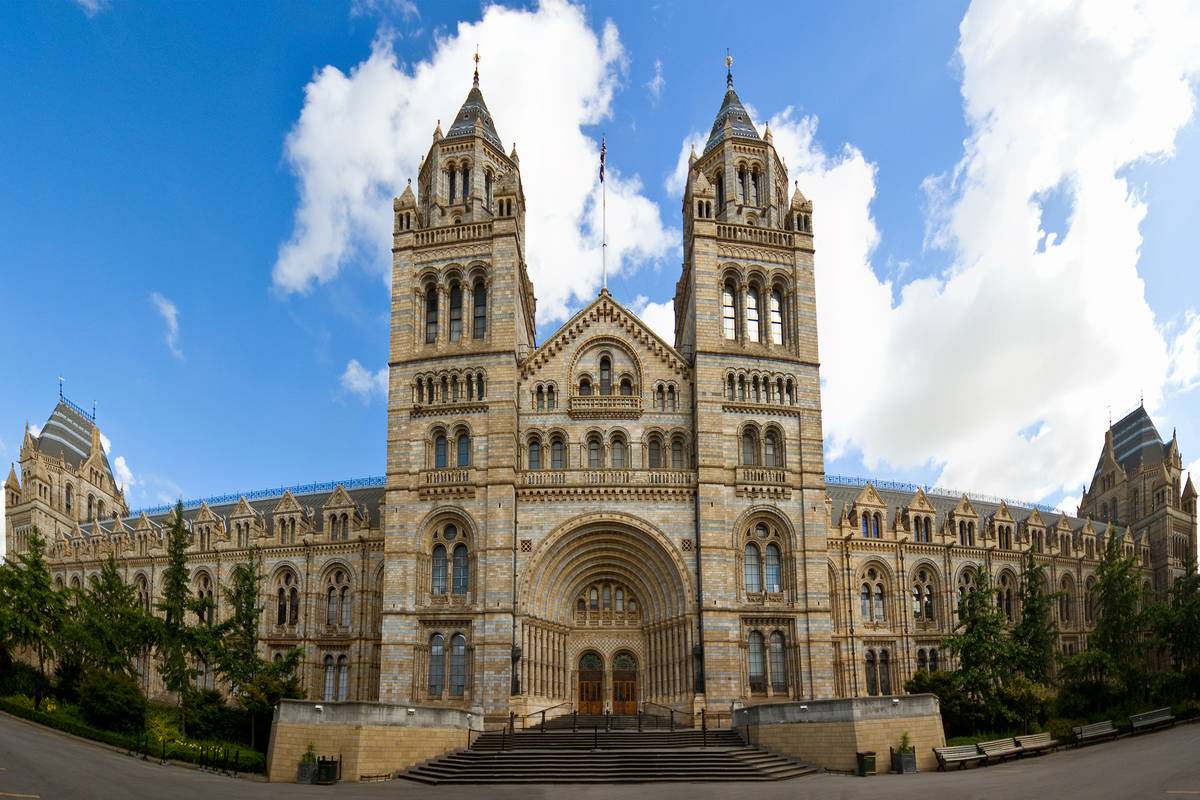Museum Of Natural History Hours London Museum Of Natural History Hours London